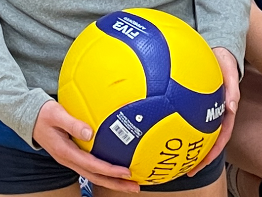 Neu, ab Frühjahr 2023: Volleyballspezifisches Kraft- und Mobilisierungstraining / Verletzungsprophylaxe